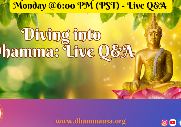 Diving into Dhamma: Dhamma Chat with Ajahn Wade Bhūripanyo