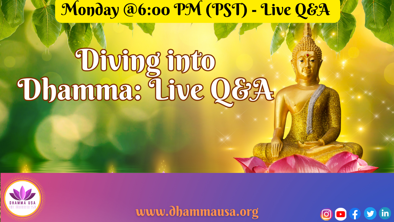 Diving into Dhamma: Dhamma Chat with Ajahn Wade Bhūripanyo
